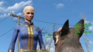 Intel HD Graphics 610 -- Intel Pentium G4560 -- Fallout 4 FPS Test