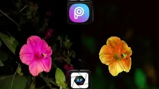 Flower editing picsart #floweresiting