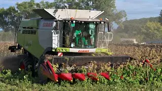 [MOTORSOUND] CLAAS Lexion 670 + Geringhoff 8 rows | 4K 2022