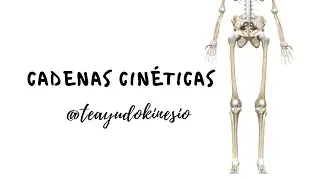 CADENAS CINÉTICAS: ABIERTAS, CERRADAS Y FRENADAS
