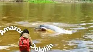 Bolivian Amazon Pink River Dolphin, tour from Trinidad