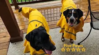 XXL Dog Raincoat Review | Waterproof Pet Poncho with Reflective Strips & Hood