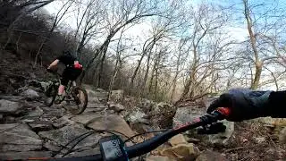 Lizard Trail Uphill Insanity