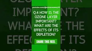 NIOS 12th HOME SCIENCE (321) IMPORTANT QUESTIONS FOR OCTOBER 2025 EXAM