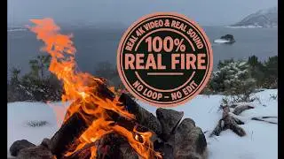 Nordic Winter Fjord Campfire 4K 60FPS - Hilltop in Snow & Wind | Real Fire, No Loop