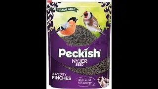 Why Nyjer seed has replaced Niger seed for feeding birds