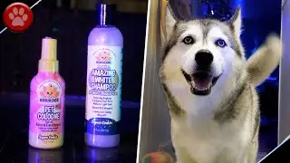 Bodhi Dog Pet Shampoo & Cologne