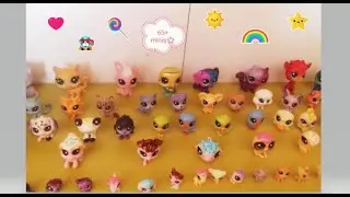 Minişlerimi Tanıtıyorum (65+ miniş)🌼