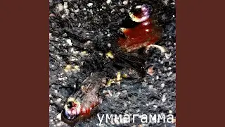 кикеон