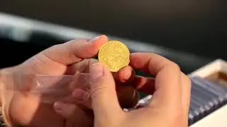 Harry Metrano Profile