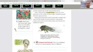 Ch. 3, Growth and Survival, Lesson 1: What are some physical structures in living things?