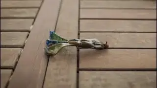 The 3 Best Ways To Rig Creature Baits!