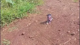 Себа загорает утром. Ярко!!