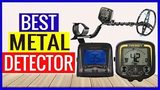 Top 5 Best Metal Detector in 2022