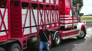 How MLA's Transport Hub can help farmers - one year on