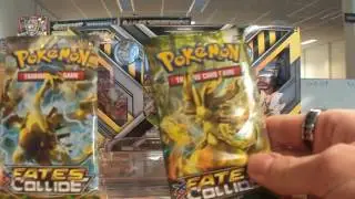 Mega Beedrill Box Opening!