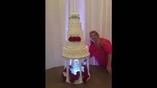 The Cake Lady