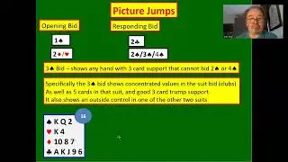 Picture Jumps bridge bidding convention