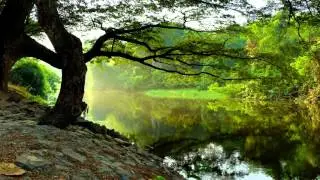 Abraham Hicks ~ It's all about the preparation, the prepaving