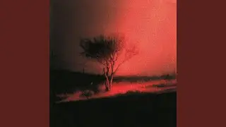 Hotel California