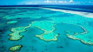 Great Barrier Reef to receive $1 billion from federal government