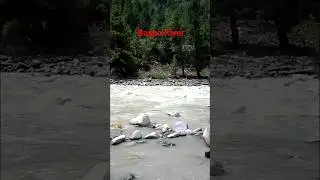 Baspa River#shorts #youtubeshort #nature #riverside
