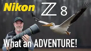 Фотообъектив Nikon Z8 для съемки птиц, 600 мм f/6.3 VR PF.