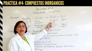Practica #4 - Compuestos Inorganicos