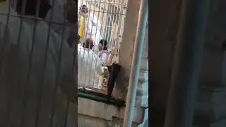 safar mela dewa sharif 2023 .. Ali waris qawwal