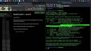 OverTheWire - BANDIT Level 8  - 9 | Unicitate cu SORT si UNIQ din Linux | Barbos Security #10