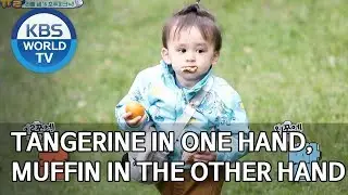 Tangerine in one hand, muffin in the other hand [The Return of Superman/2019.11.24]