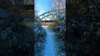 Last snowy walk: The Azuma crossing the Dyke Bridge 🌨️🚅