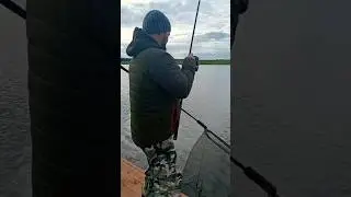 😎👌🎣 #карпфишинг #catchandrelease #carpfishing #carpfishingismylife #bigcarp #рыбалка #кара #carp