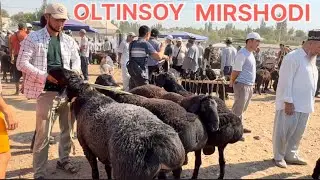 MIRSHODI QO’Y BOZORIDAGI NARXLAR CHORVA OLAMI SURXONDARYO