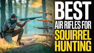 Top 8 Best Air Rifles For Squirrel Hunting 2026!🔥🔥
