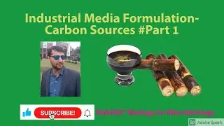 Industrial Media Formulation  Carbon Sources #Part 1