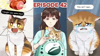 Funny & Healing Cat & Dog Story Titles - Animation And Real Life Ep. 42