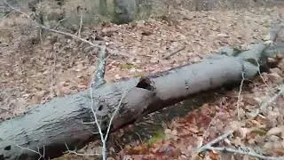 Caldwell property
