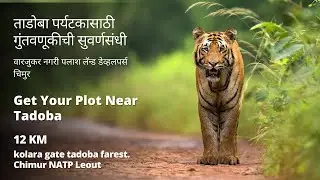 kolara gate tadoba farest. Chimur NATP Leout | With Video Sample | Contact: 9881129518 - 9049212478