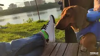 Старший лейтенант ояебу