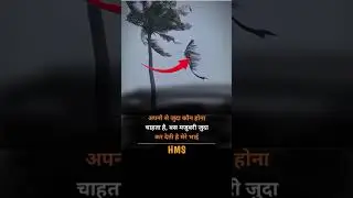 #funnyshorts #2025