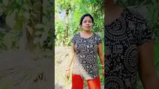 চলো তোমাদের কিছু গাছের সঙ্গে আমার কিছু আপনজন মানুষ আছে তাদের সঙ্গে পরিচয় করিয়ে দিই
