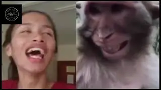 @comedyxyz4985 //fake Lion and tiger V/S Dog 🐕Troll Prank dog & fake Lion and Tiger Prank To dog