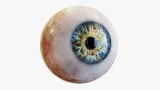 #1152 Human Eye Optics