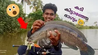 പങ്കായ  തവള (LUCANA PROPELLER  FROG) vs വാഹ പുലി