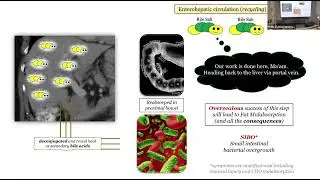 Patients Course (Metabolism): Fat Malabsorption, Background (1)