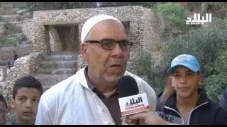 سعيدة : غابة 