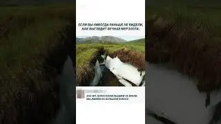 #haha #memes #dontlaught #прикол #funny #automobile #laugh #viral #comedy #shorts #fyp #freefire