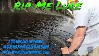 MUSKY BOAT SIDE STRIKE ON....... RIP ME LURE!!!!!!!!