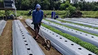 LAND APPROVAL PROCESS IS EASY AND FAST USING CREATIVE TOOLS!-Agriculture Farming